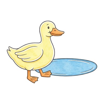 Duck Puddle Step, colored example
