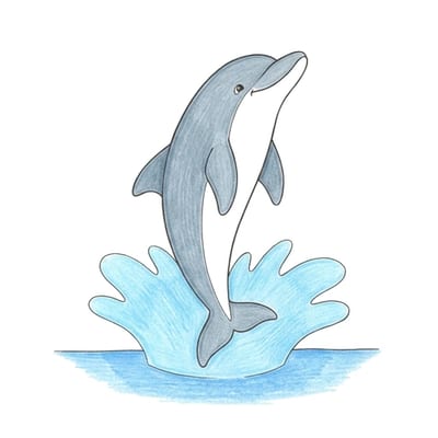 Dolphin Tail Splash, colored example