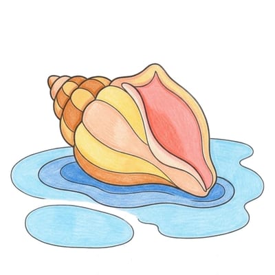 Shell Tide Pool, colored example