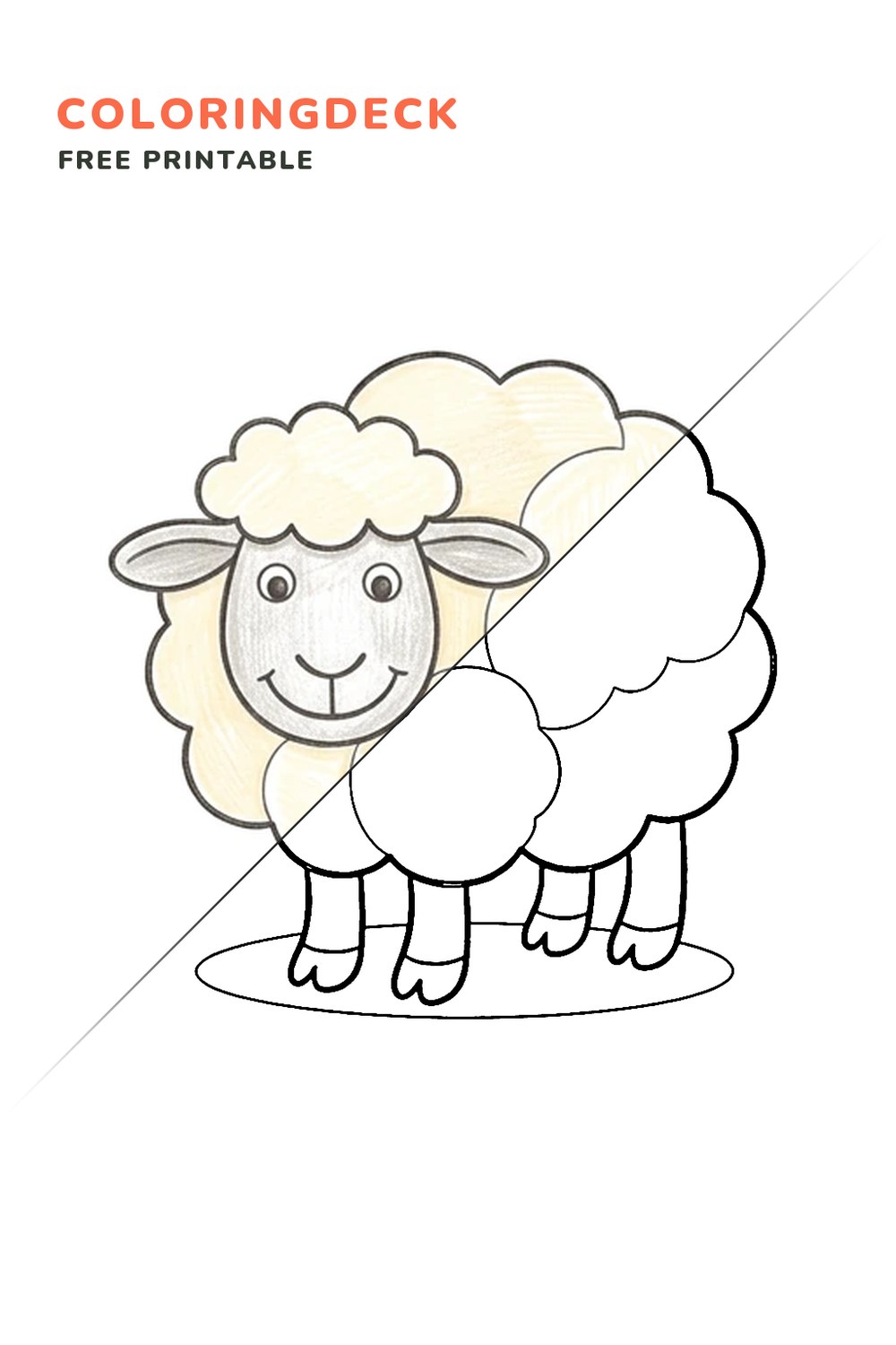 Sheep Wool Curl coloring page, free printable: half colored, half outline