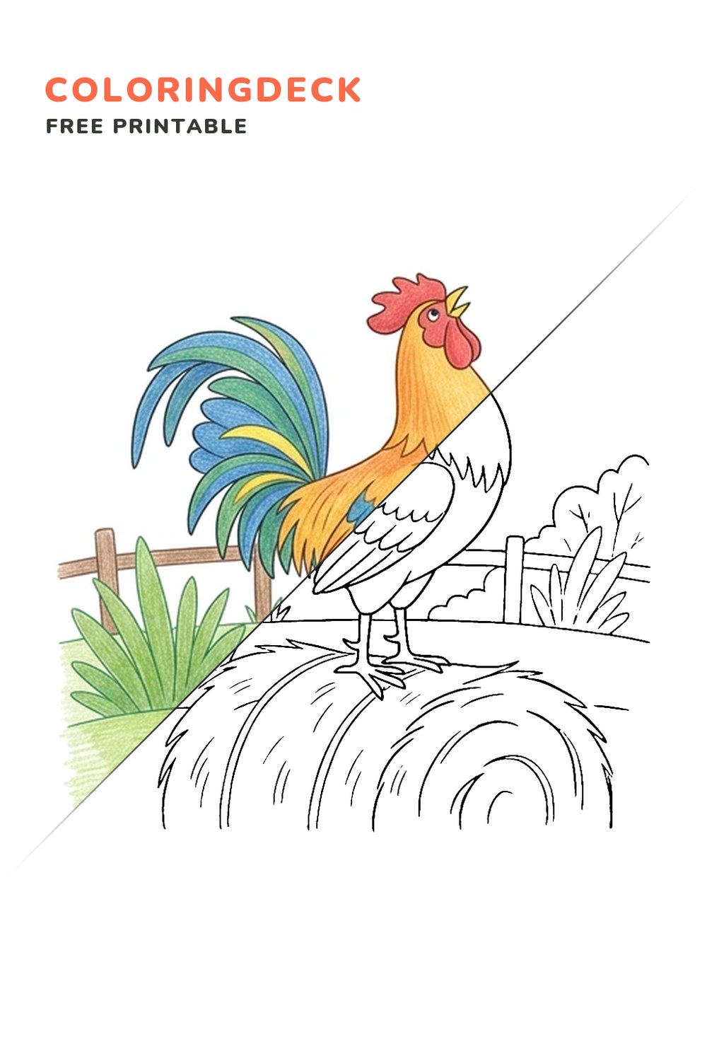 Rooster Hay Bale coloring page, free printable: half colored, half outline