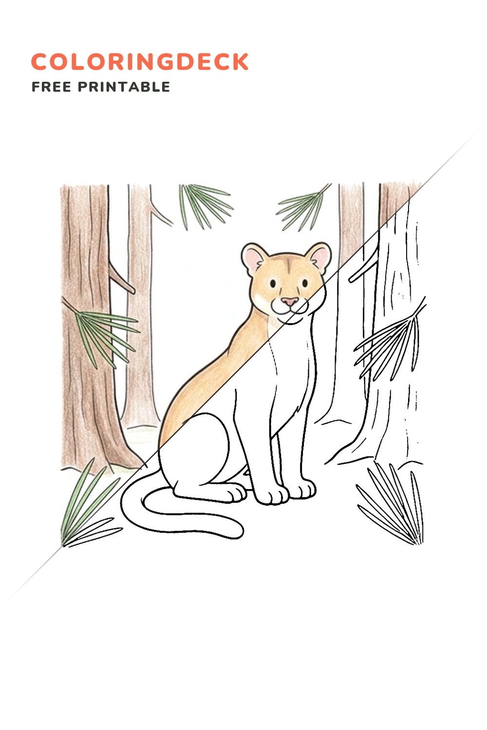 Cougar Pine Hollow coloring page, free printable: half colored, half outline