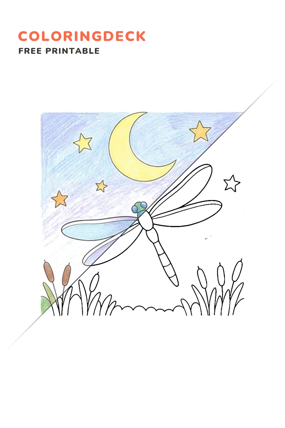 Dragonfly Moon Flight coloring page, free printable: half colored, half outline