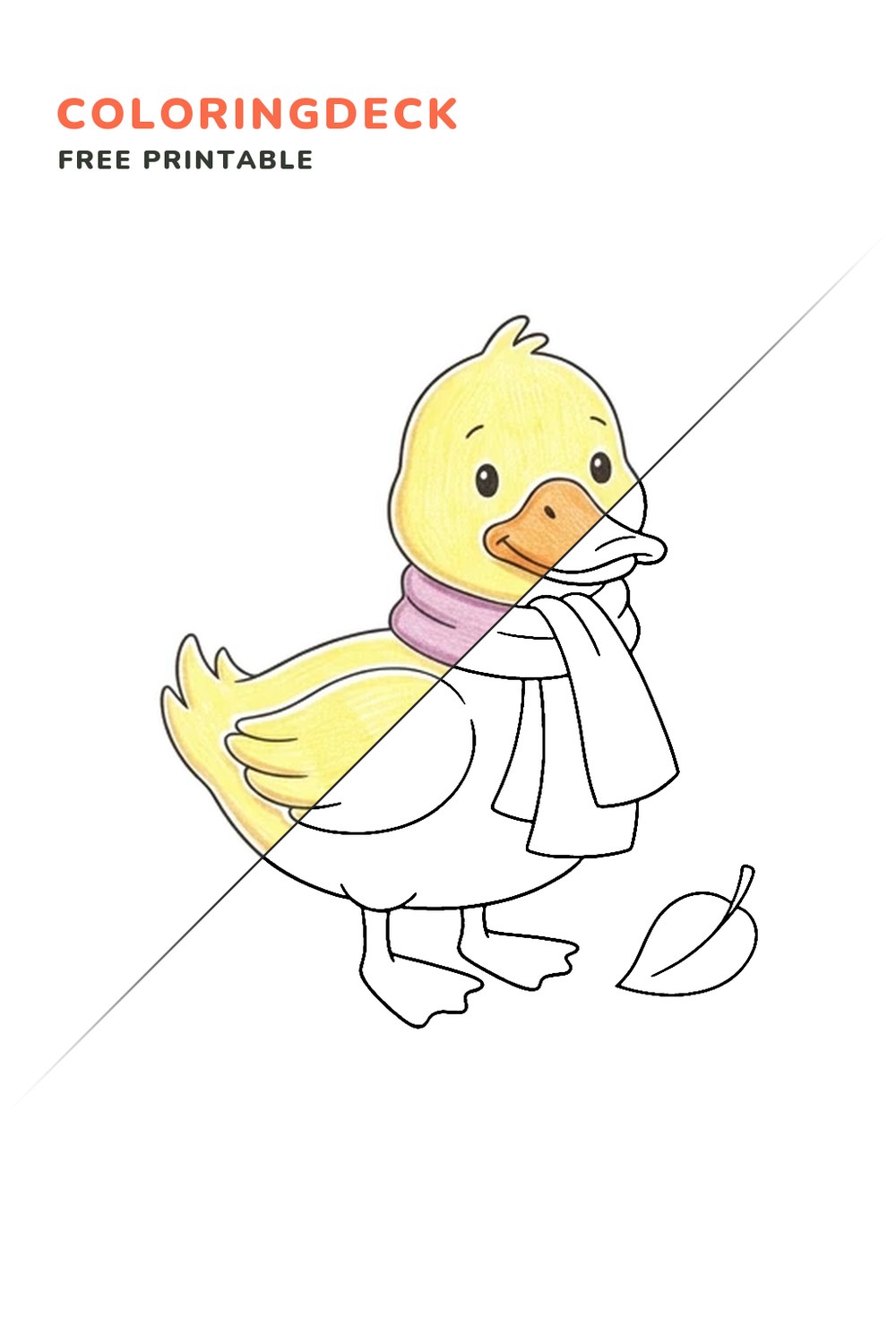 Duck With Scarf coloring page, free printable: half colored, half outline