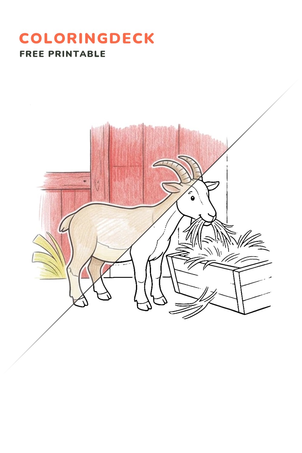 Goat Hay Snack coloring page, free printable: half colored, half outline