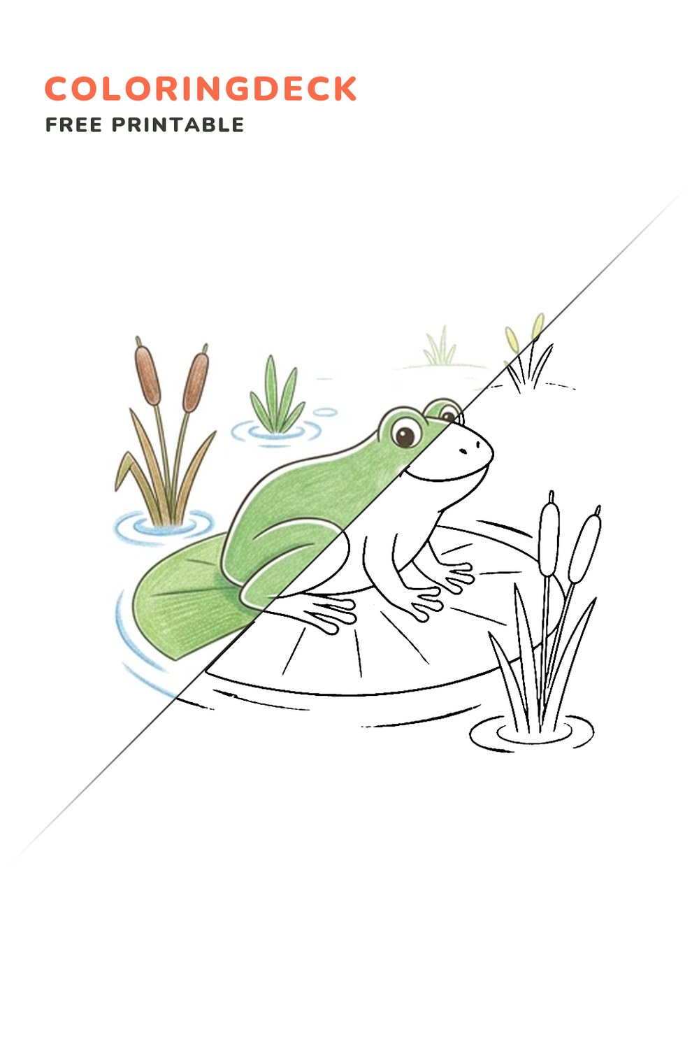 Frog Lily Pad coloring page, free printable: half colored, half outline