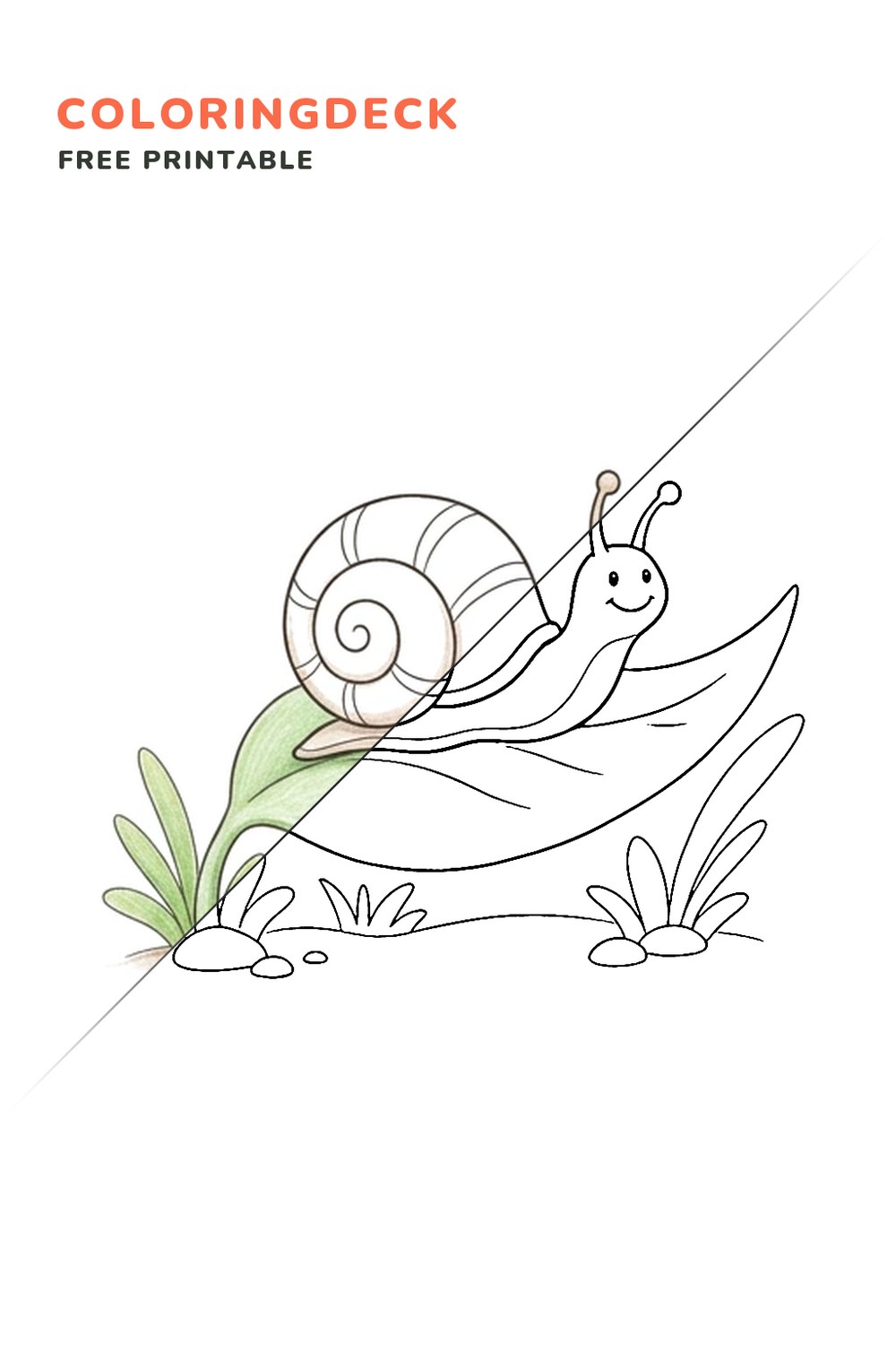 Snail Leaf Trail coloring page, free printable: half colored, half outline