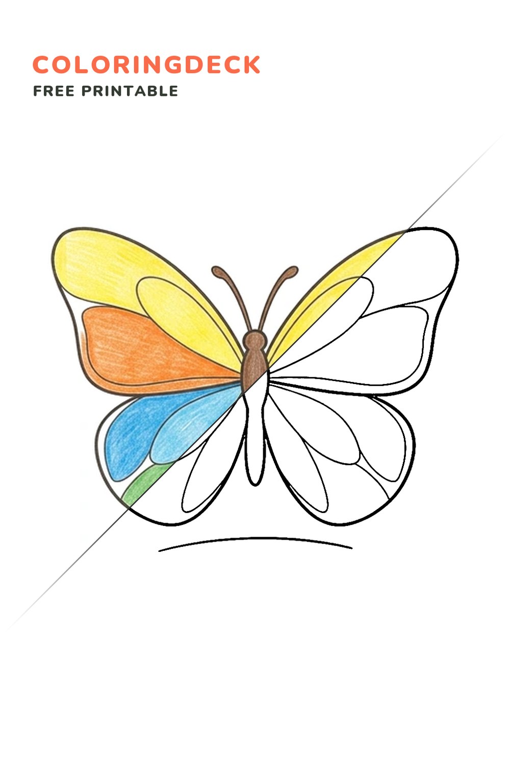 Butterfly Open Wings coloring page, free printable: half colored, half outline