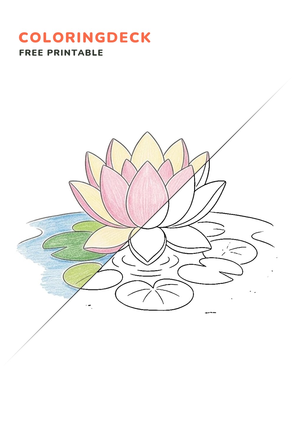 Lotus Pond Bloom coloring page, free printable: half colored, half outline