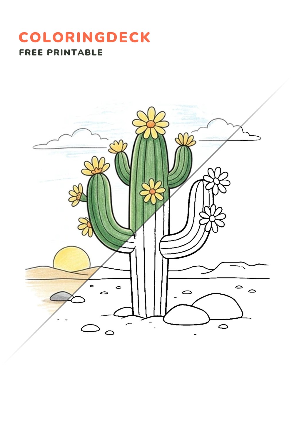 Cactus Flower Bloom coloring page, free printable: half colored, half outline
