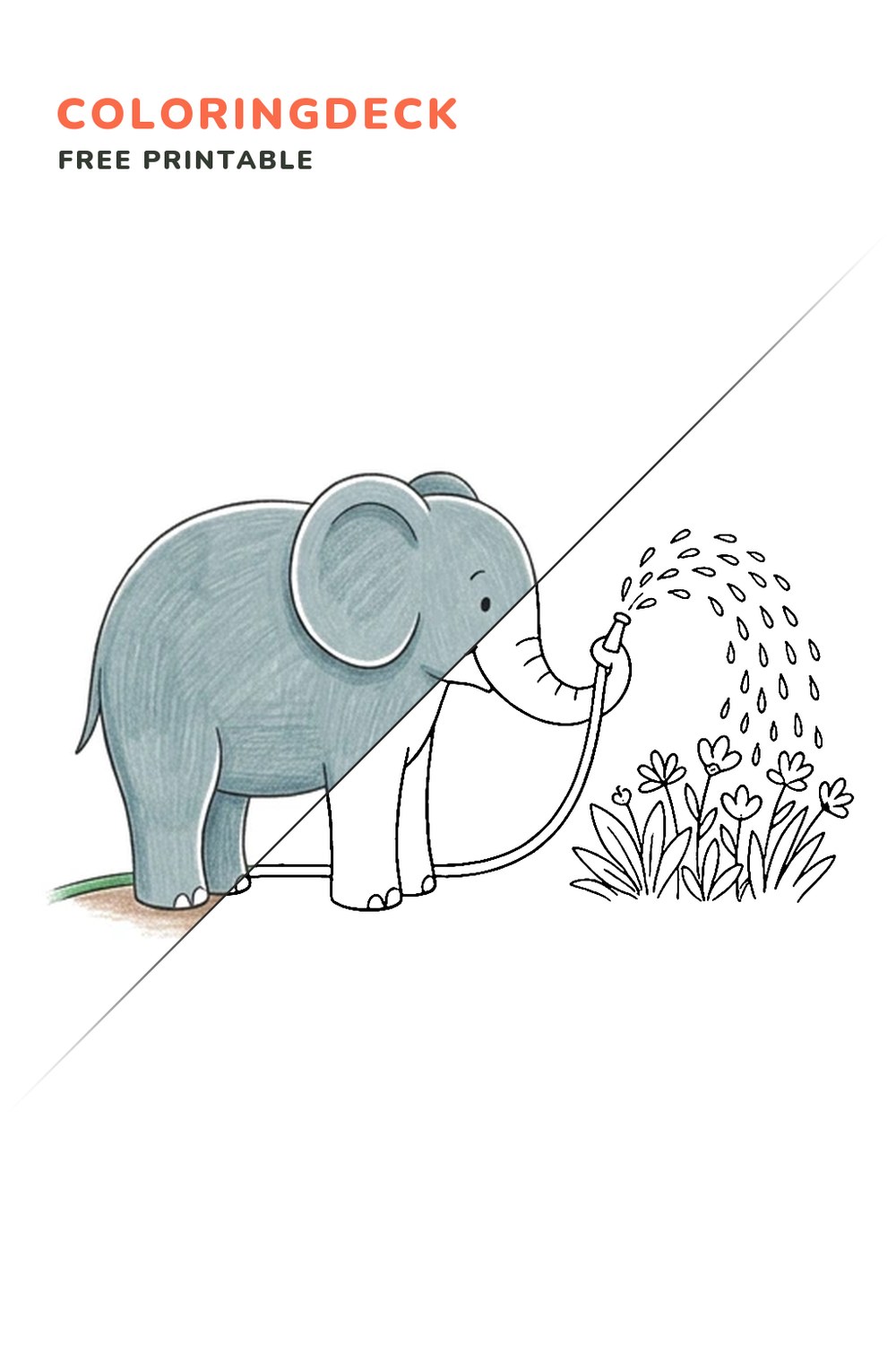 Elephant Flower Shower coloring page, free printable: half colored, half outline