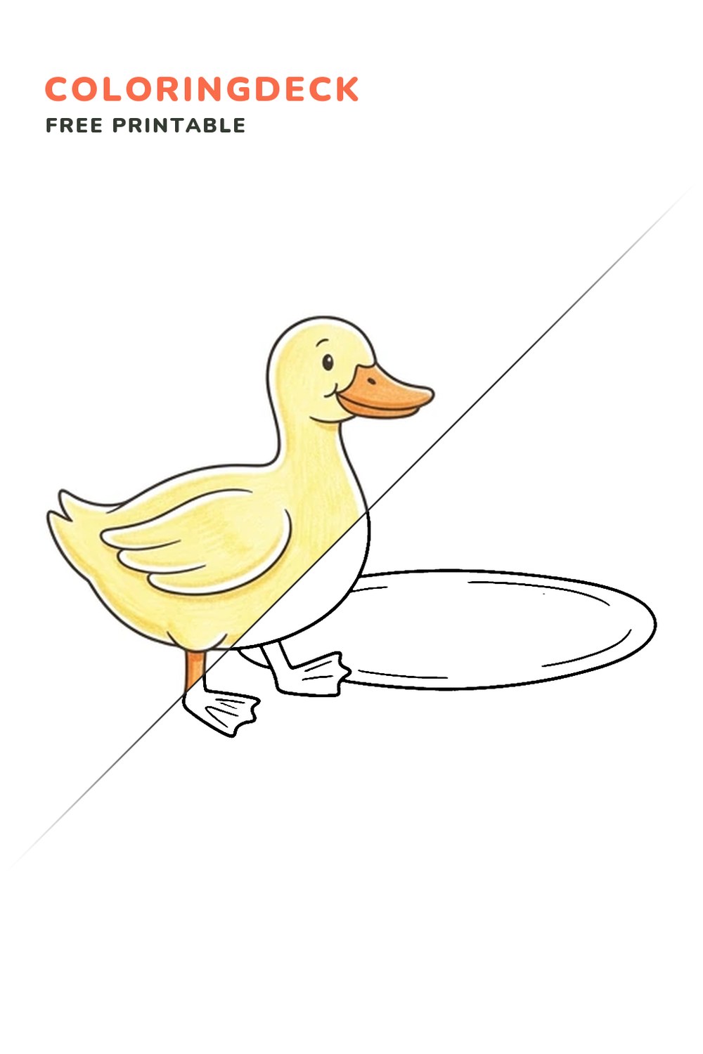 Duck Puddle Step coloring page, free printable: half colored, half outline