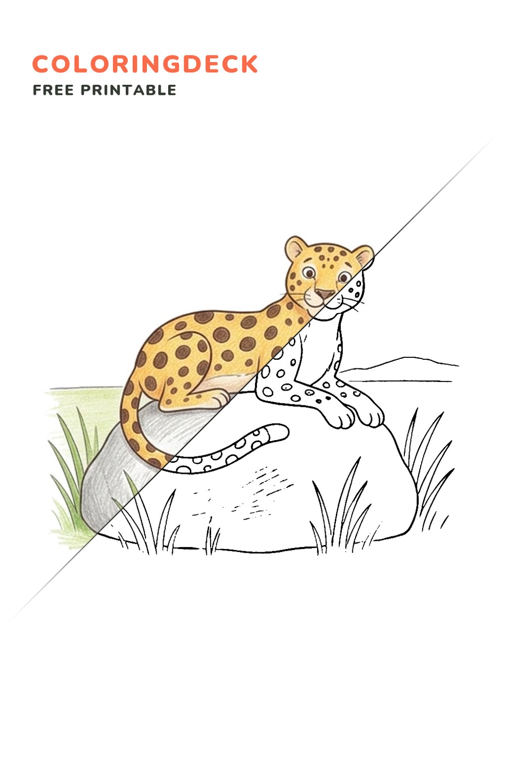 Leopard Rock Perch coloring page, free printable: half colored, half outline