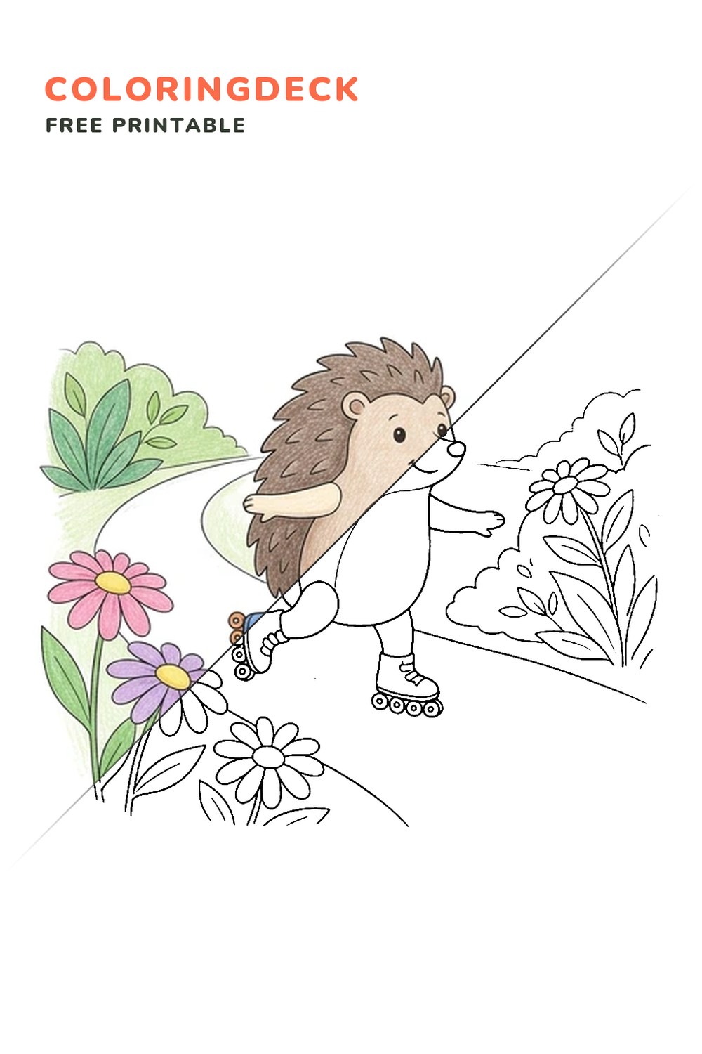 Hedgehog Roller Glide coloring page, free printable: half colored, half outline