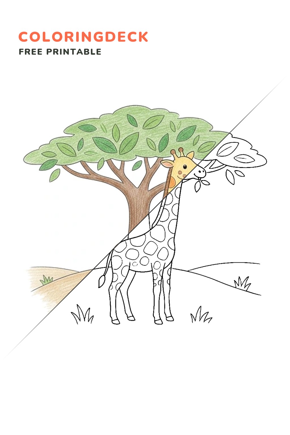 Giraffe Acacia Stroll coloring page, free printable: half colored, half outline