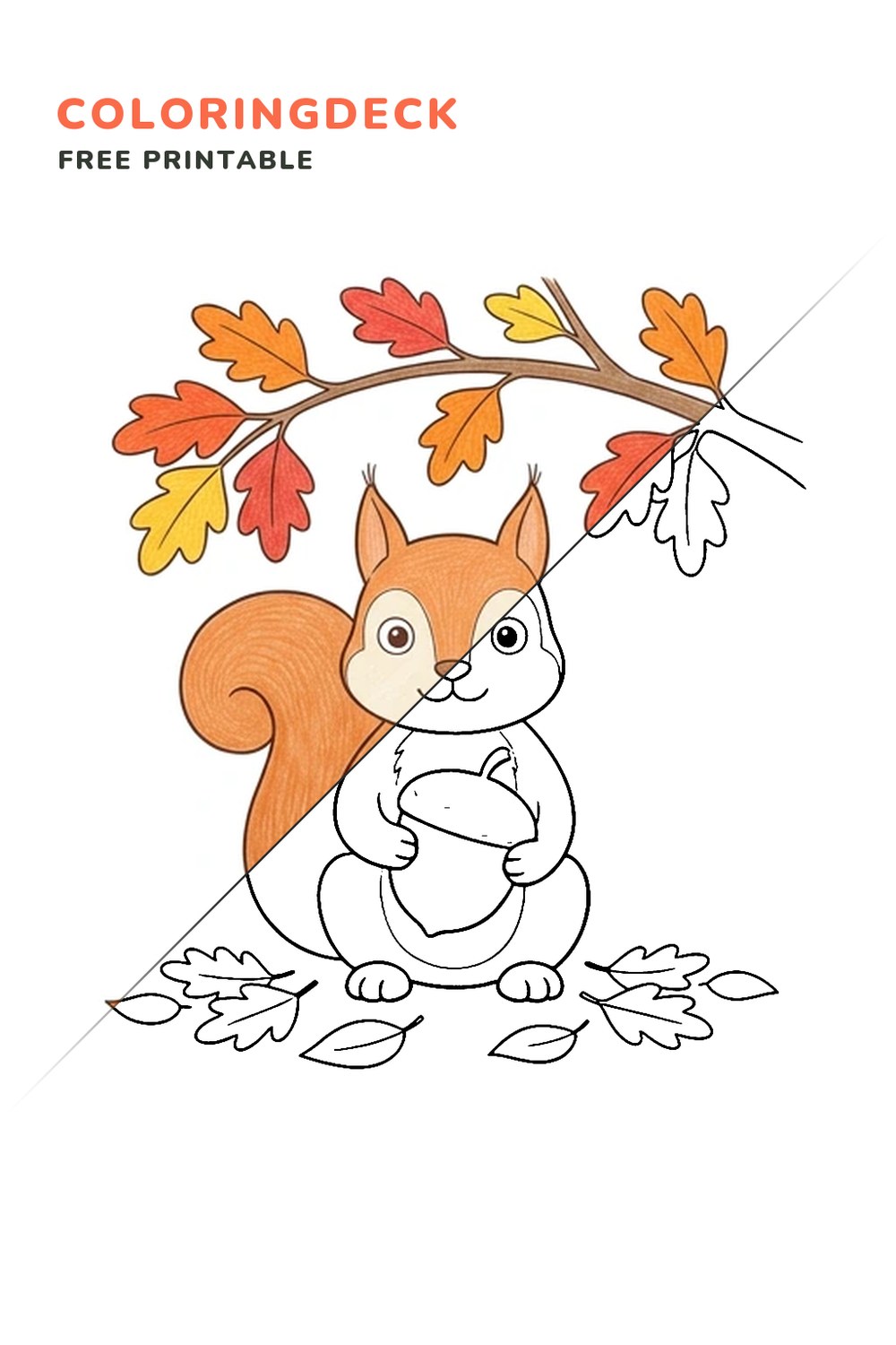 Autumn Acorn Squirrel coloring page, free printable: half colored, half outline