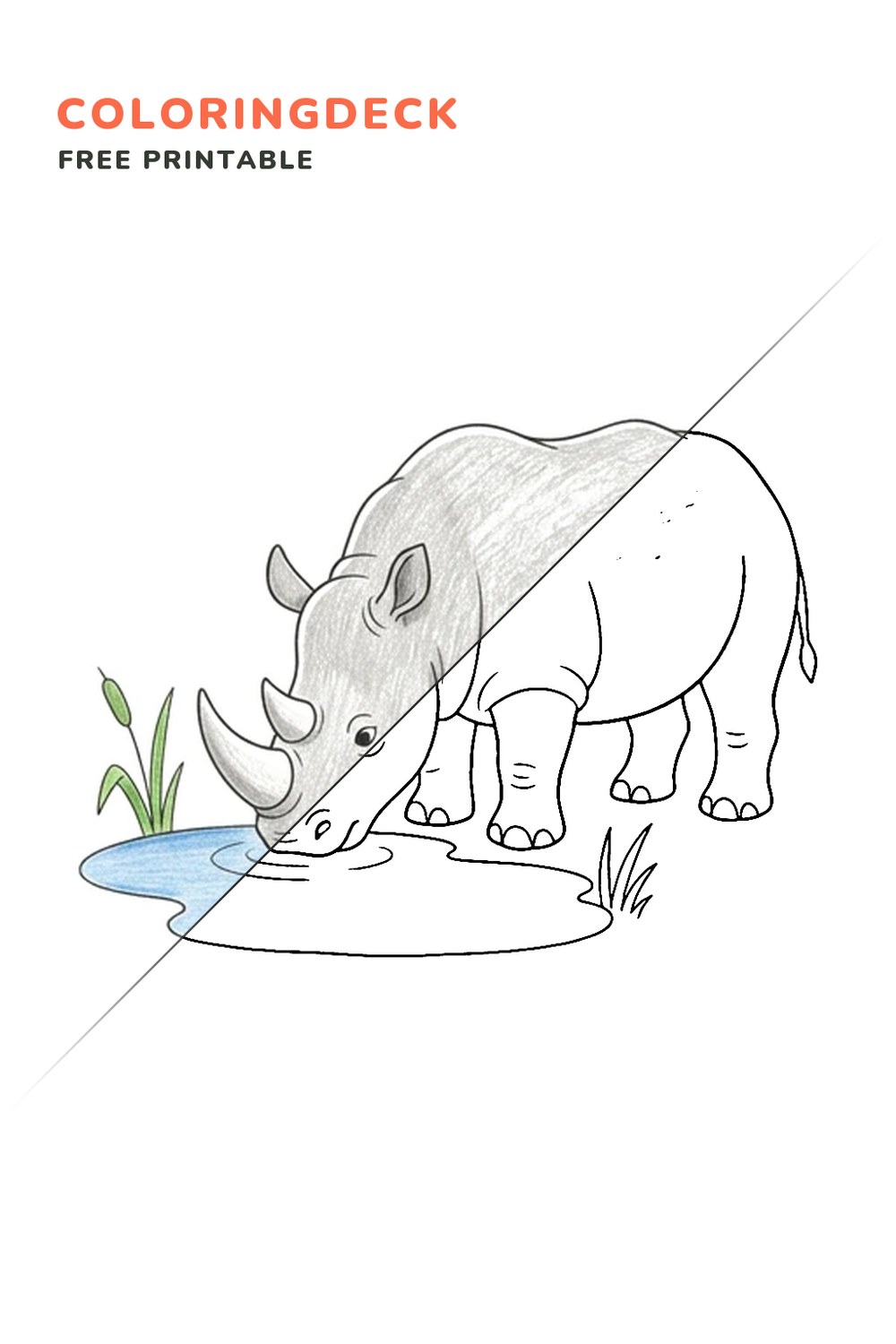 Rhino Water Sip coloring page, free printable: half colored, half outline