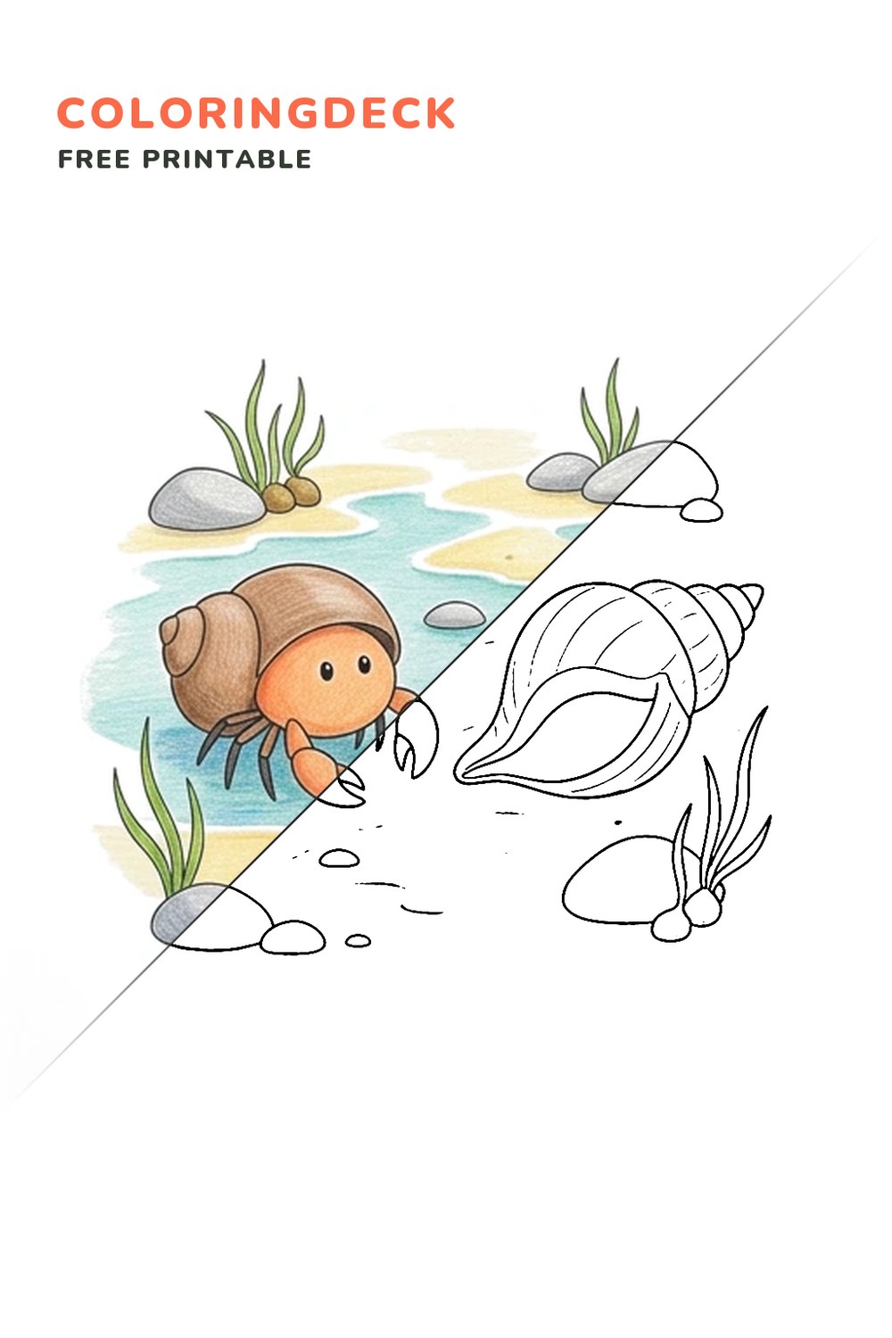 Hermit Crab Shell Hunt coloring page, free printable: half colored, half outline