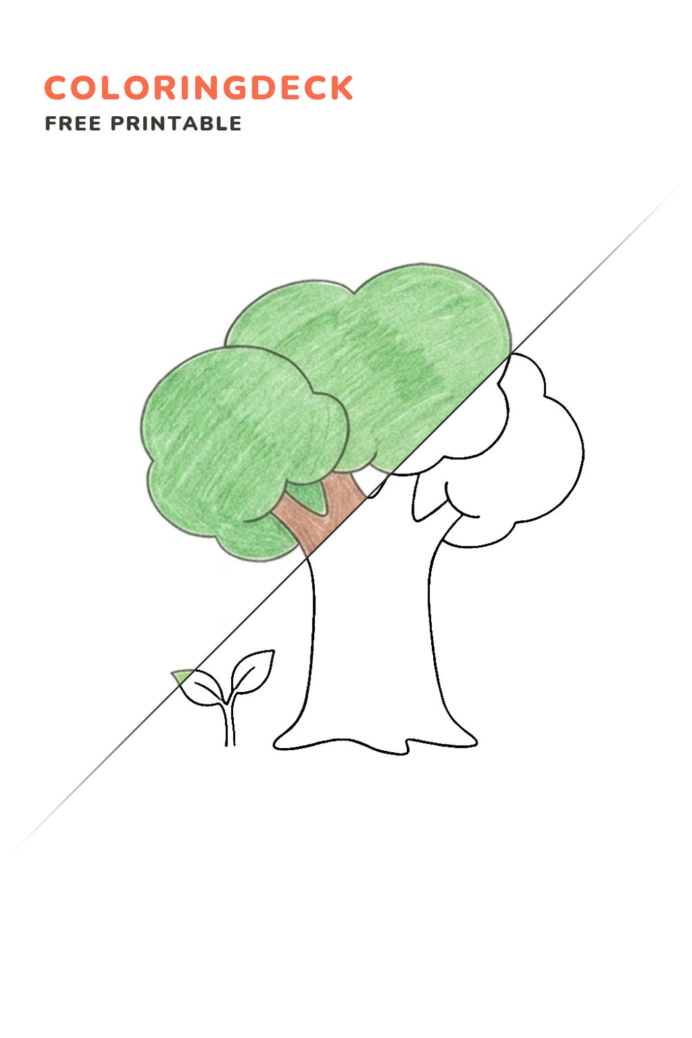 Big Tree Small Sprout coloring page, free printable: half colored, half outline