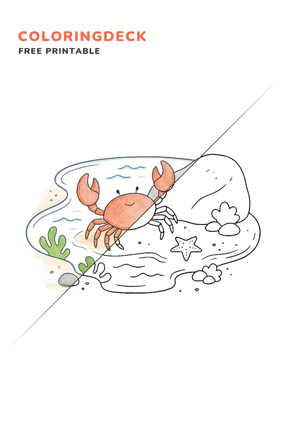Crab Tide Pool Search coloring page, free printable: half colored, half outline