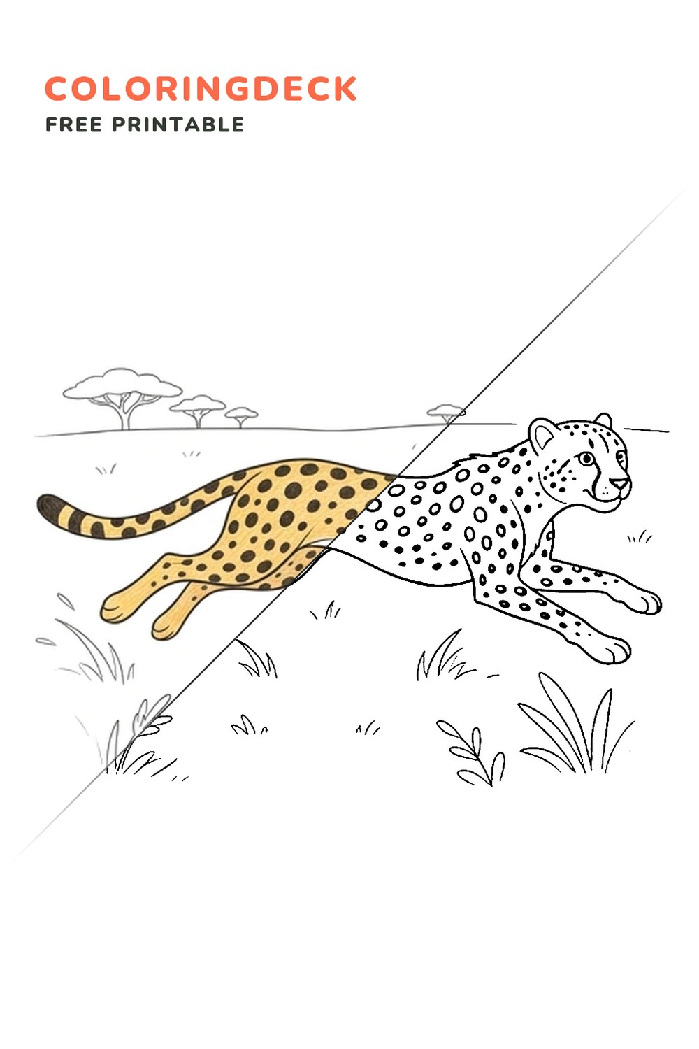 Cheetah Meadow Sprint coloring page, free printable: half colored, half outline