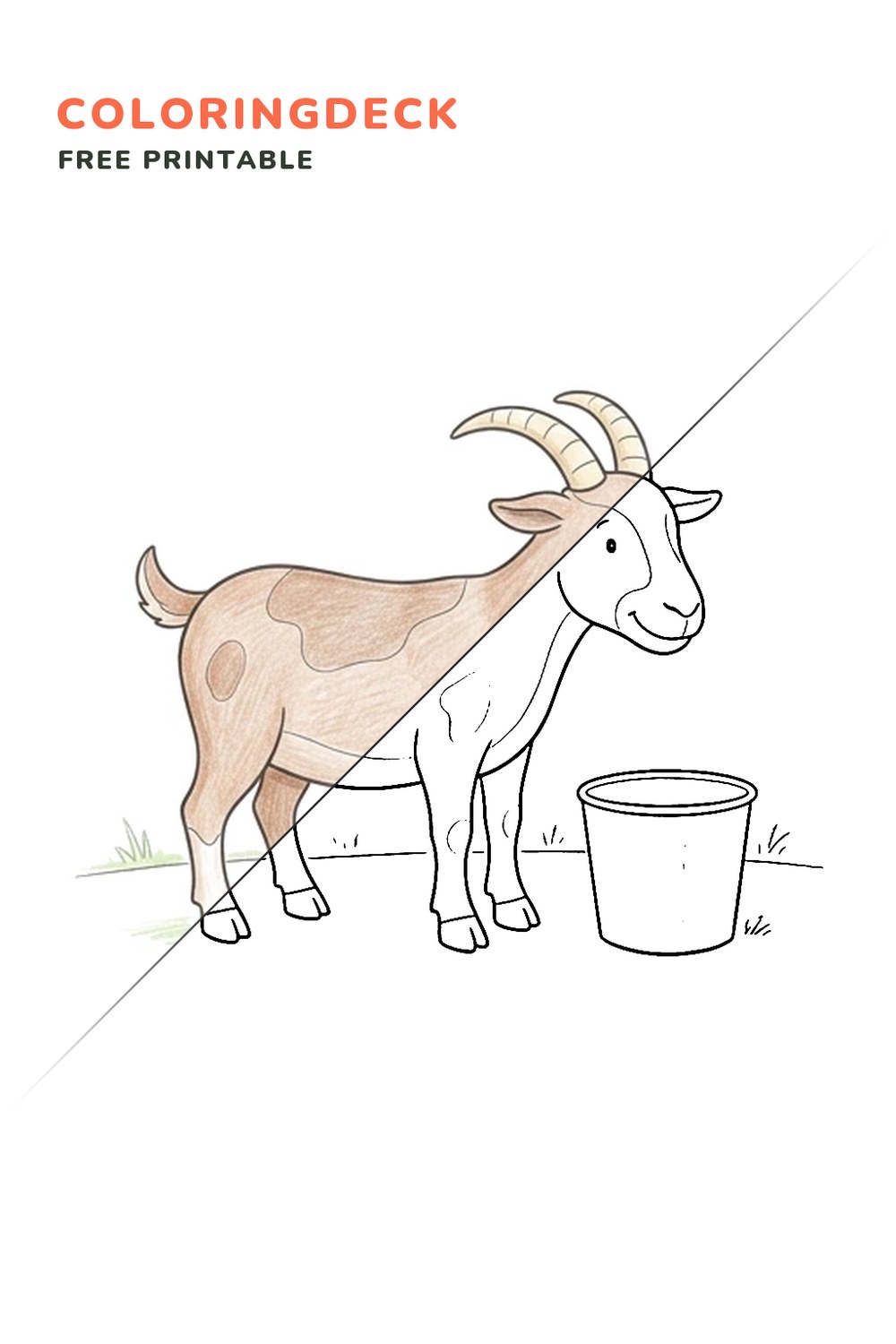Goat Beside Pail coloring page, free printable: half colored, half outline