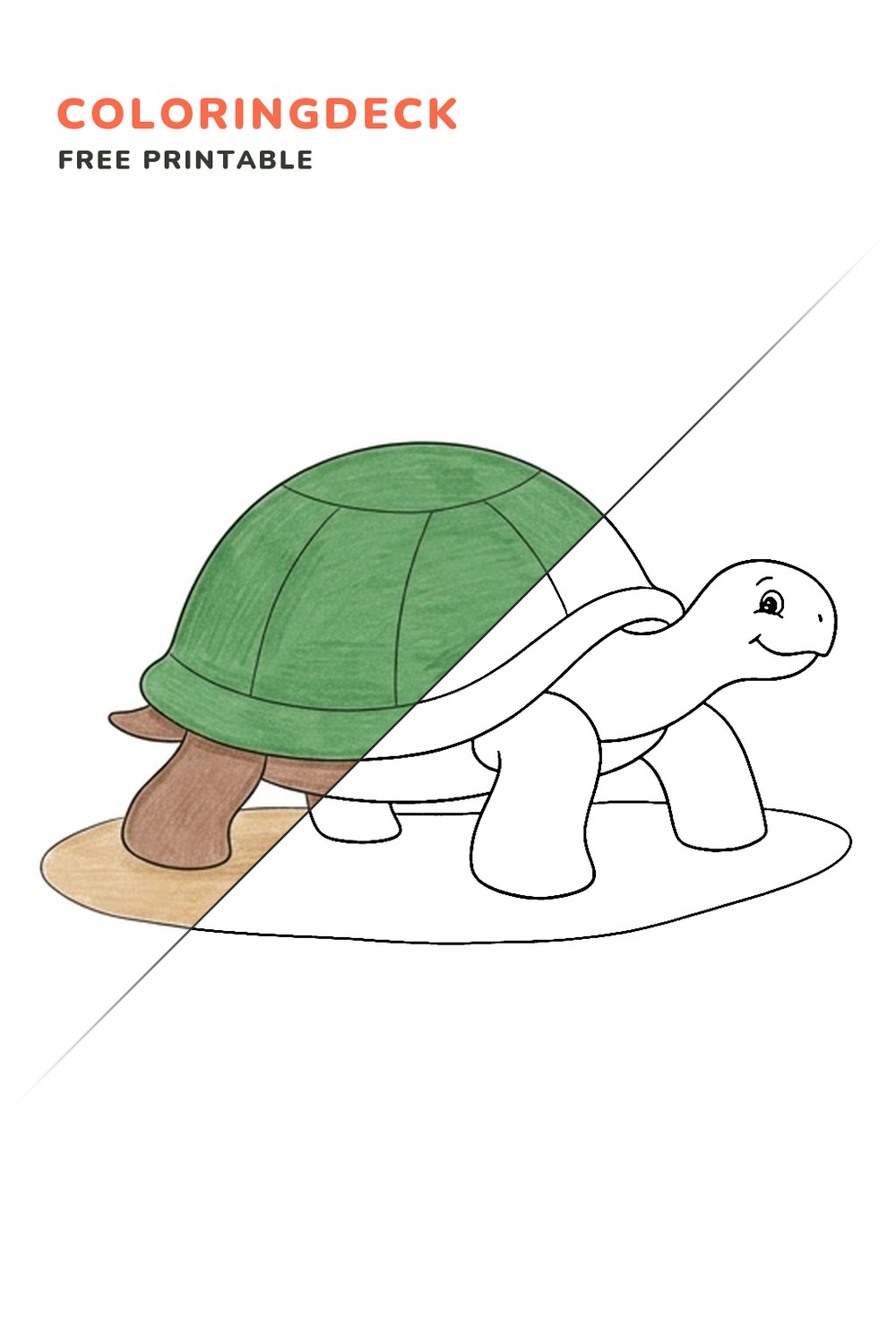 Friendly Turtle Shell coloring page, free printable: half colored, half outline