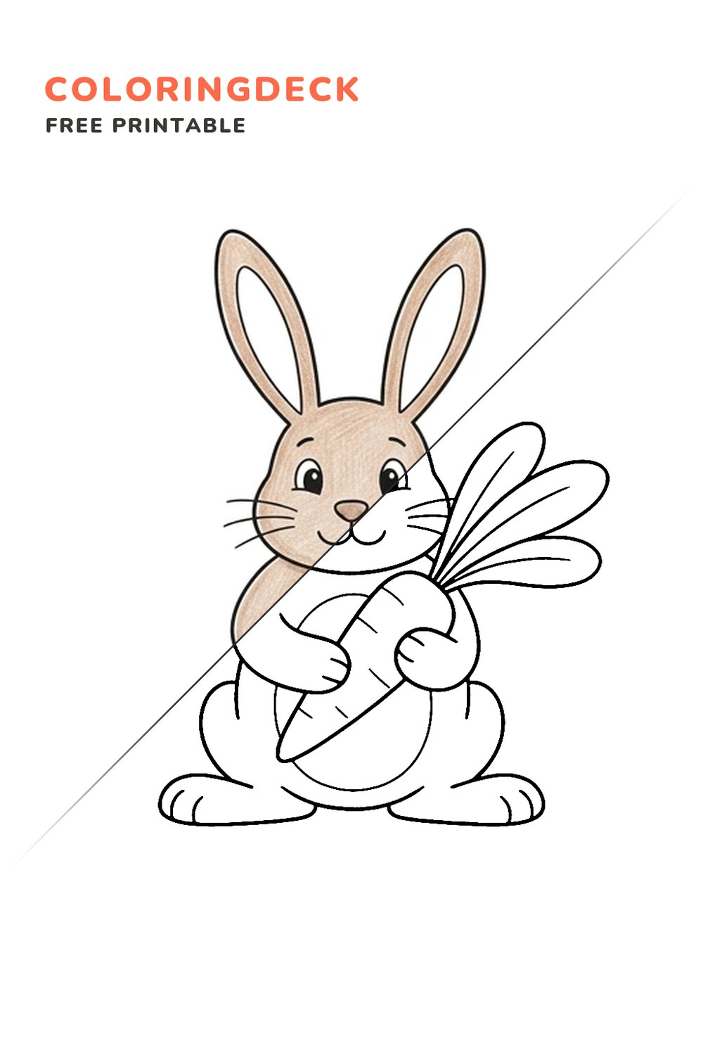 Rabbit With Carrot coloring page, free printable: half colored, half outline