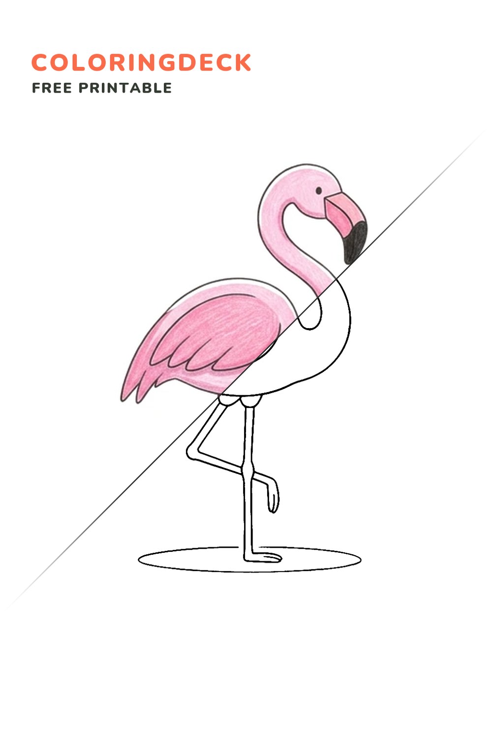Flamingo Standing Tall coloring page, free printable: half colored, half outline