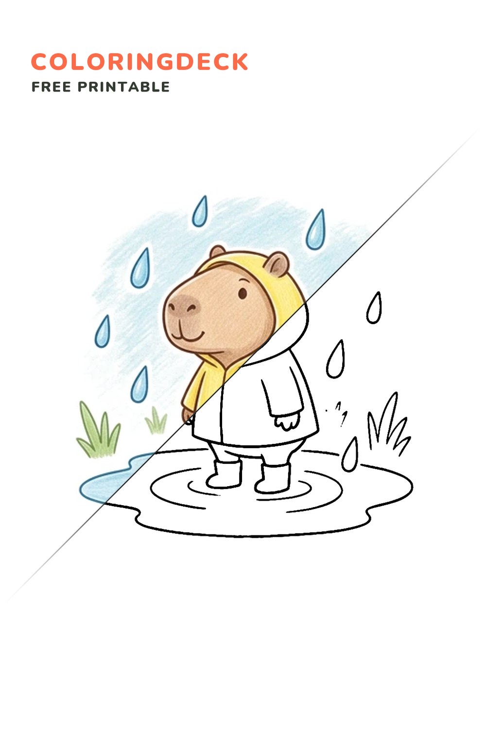 Capybara Raincoat coloring page, free printable: half colored, half outline