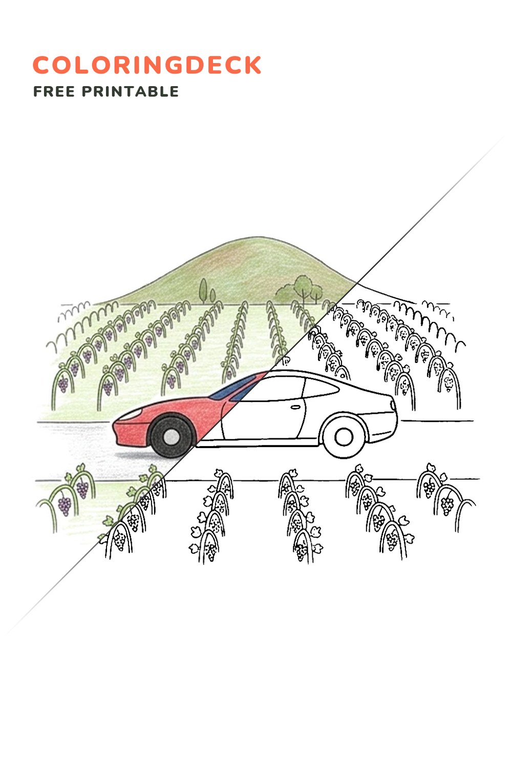 Ferrari Vineyard Lane coloring page, free printable: half colored, half outline