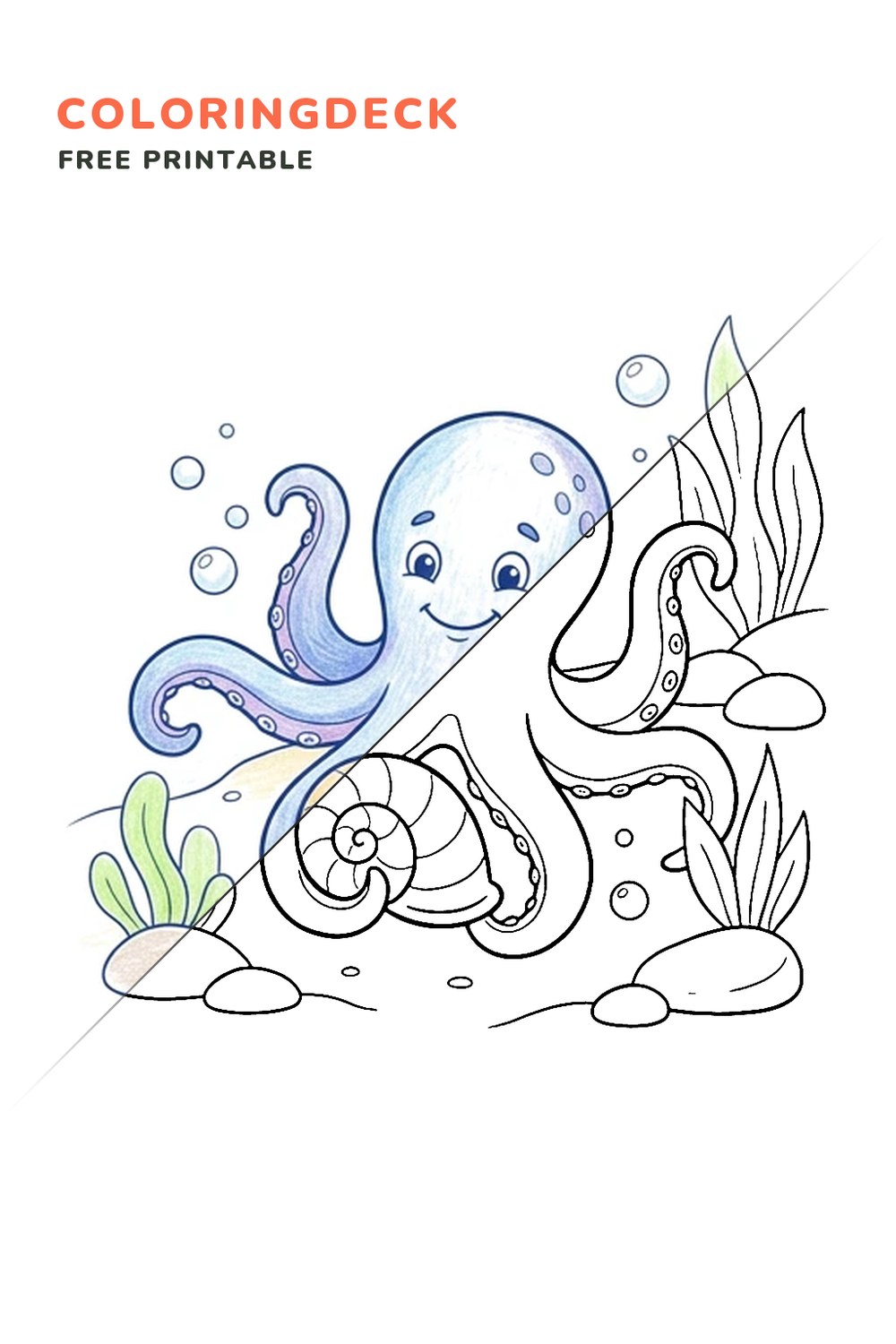 Octopus Shell Search coloring page, free printable: half colored, half outline