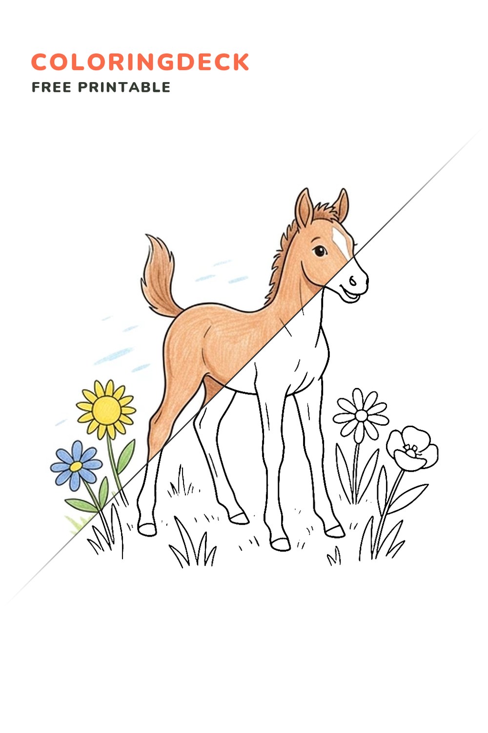 Foal Wildflower Meadow coloring page, free printable: half colored, half outline