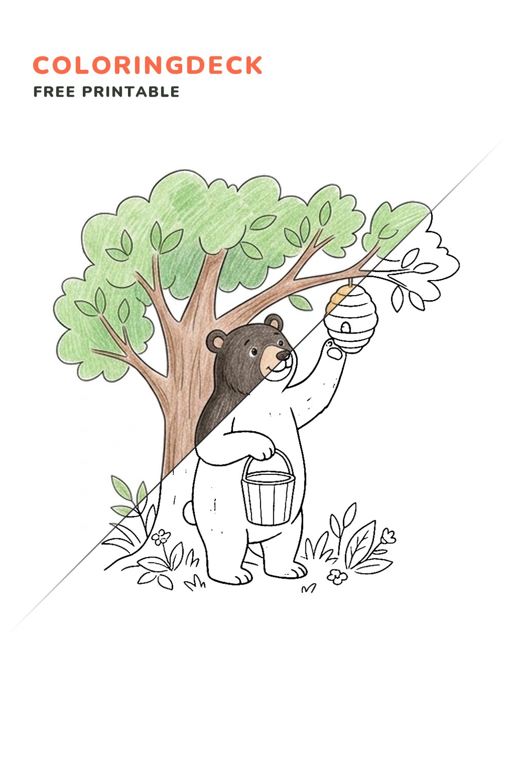 Bear Honey Harvest coloring page, free printable: half colored, half outline