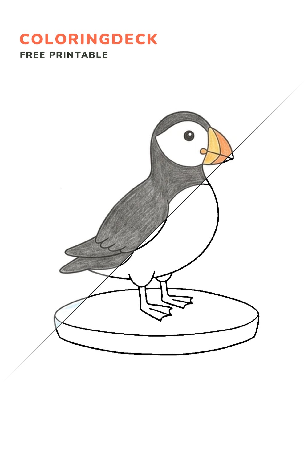 Puffin On Ice coloring page, free printable: half colored, half outline