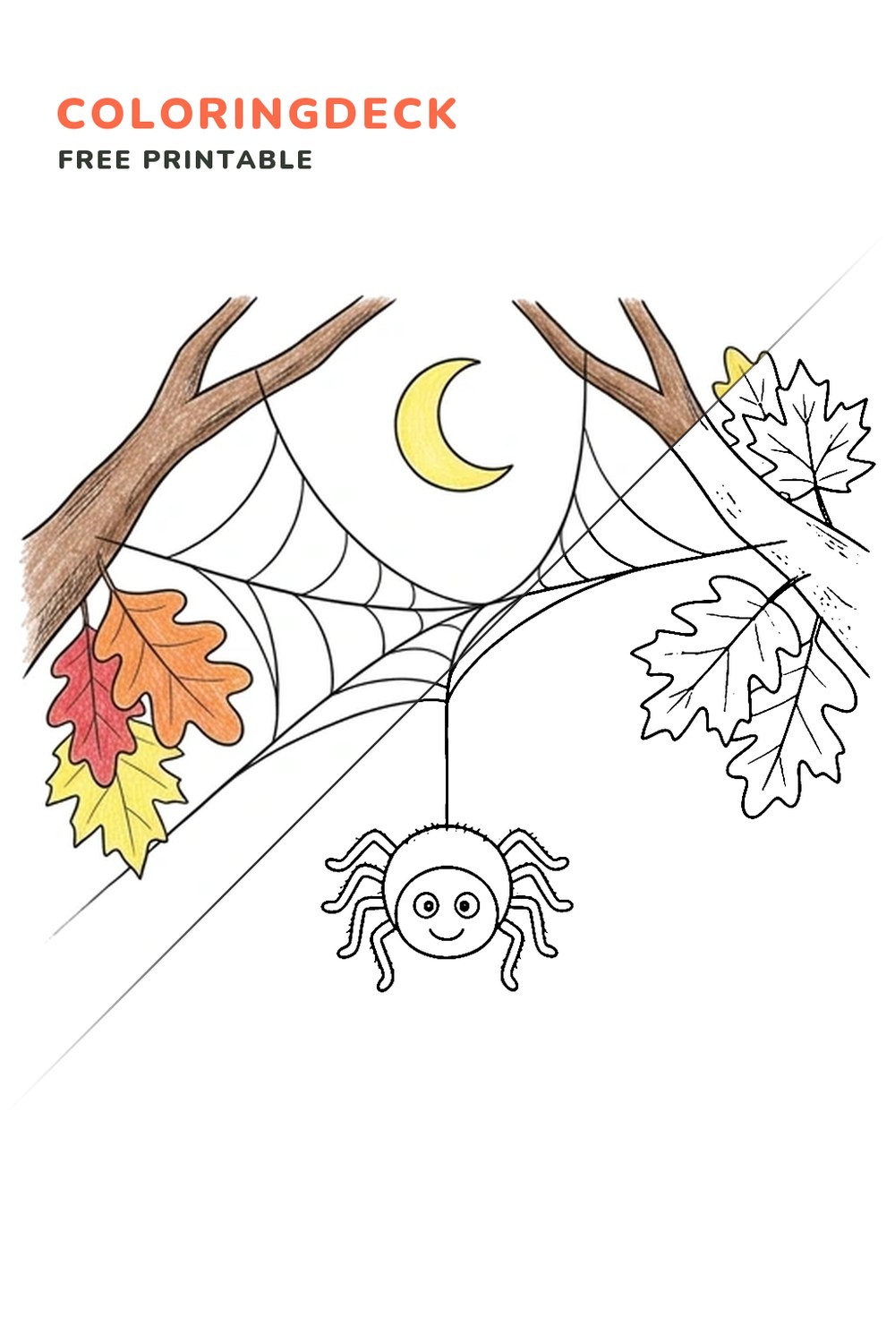 Spider Web Swing coloring page, free printable: half colored, half outline