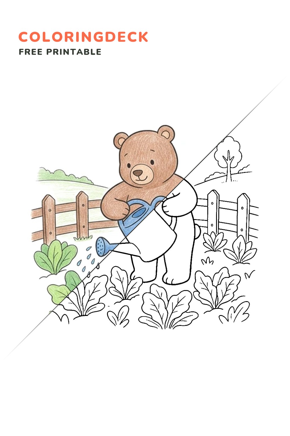 Bear Garden Watering coloring page, free printable: half colored, half outline