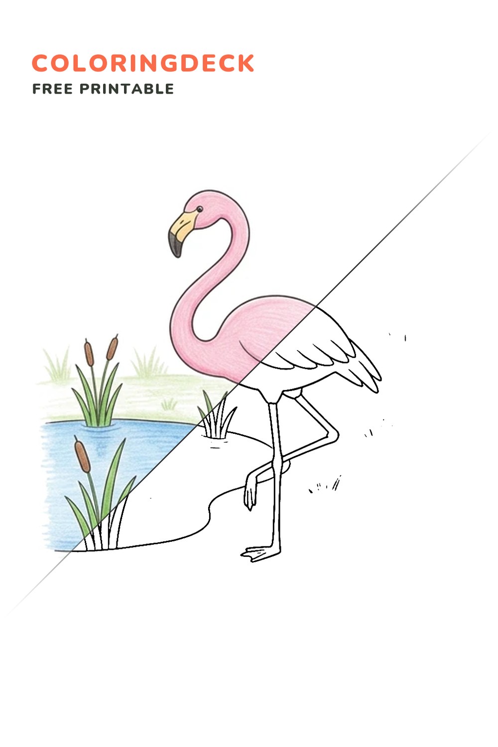 Flamingo Pond Balance coloring page, free printable: half colored, half outline