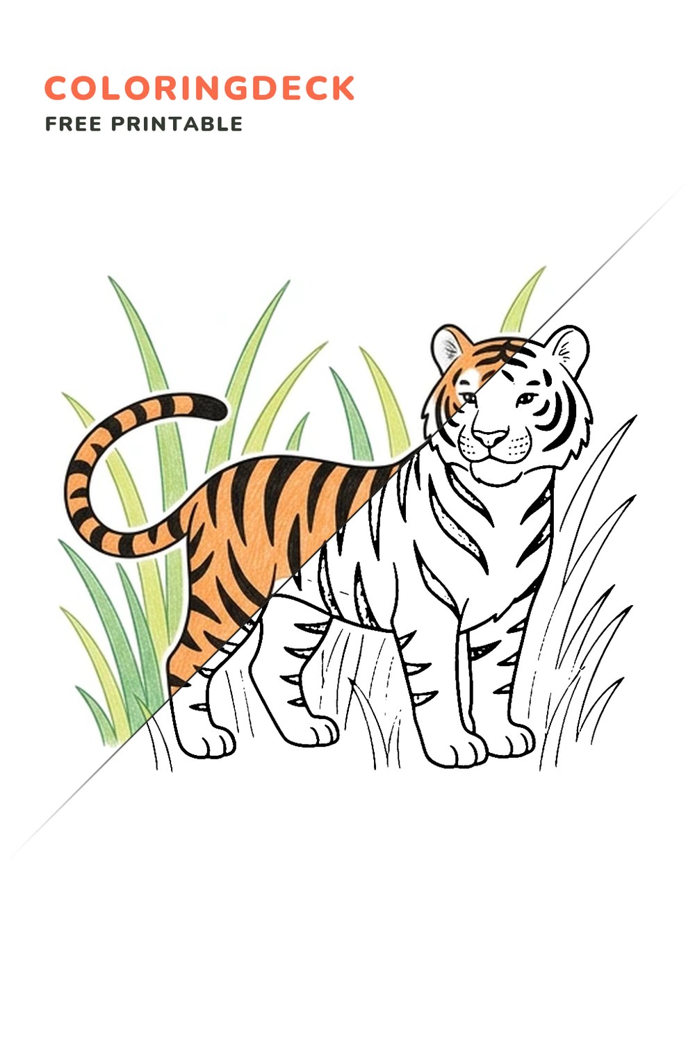 Tiger Tall Grass coloring page, free printable: half colored, half outline