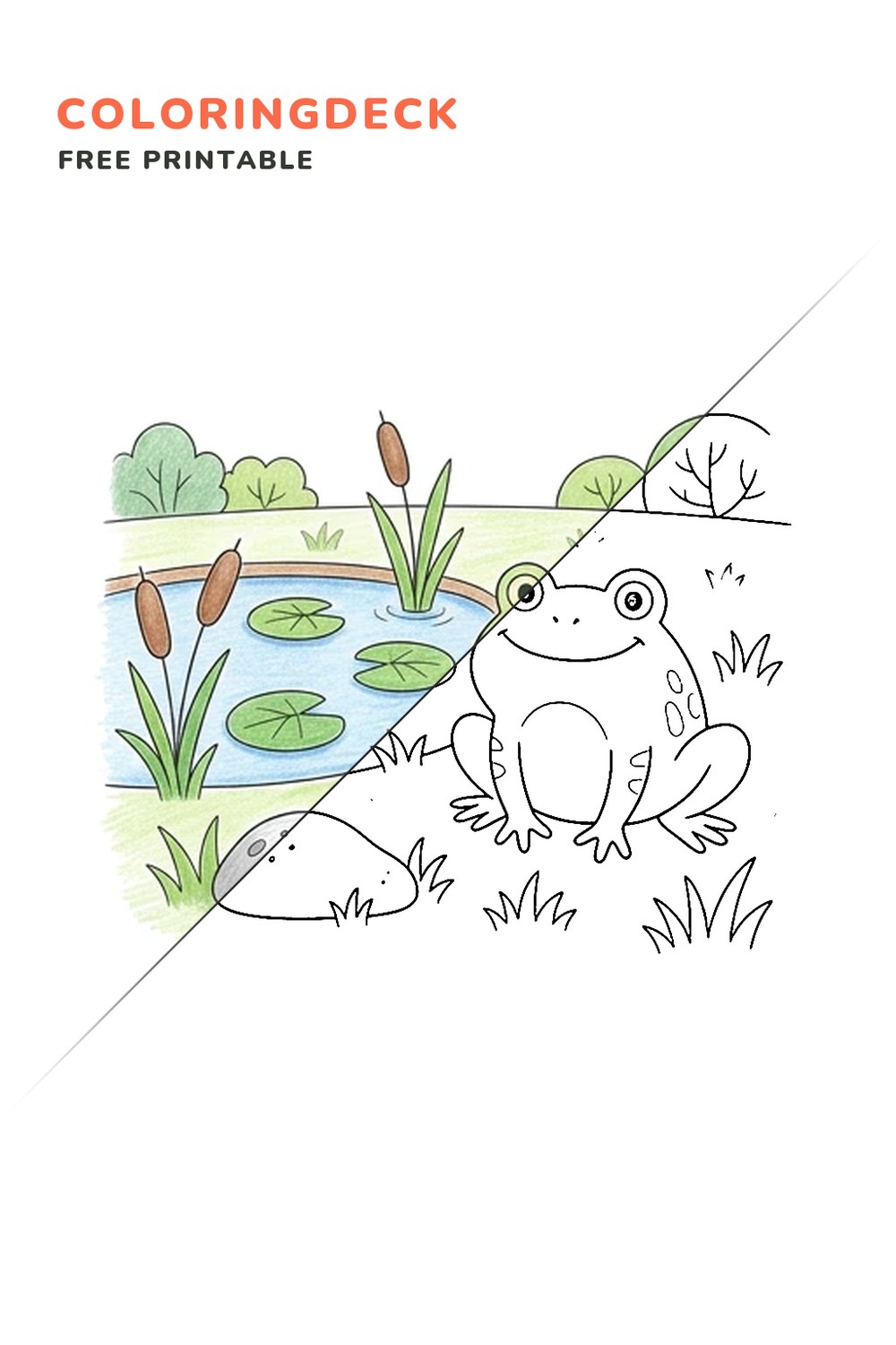 Garden Frog Pond coloring page, free printable: half colored, half outline