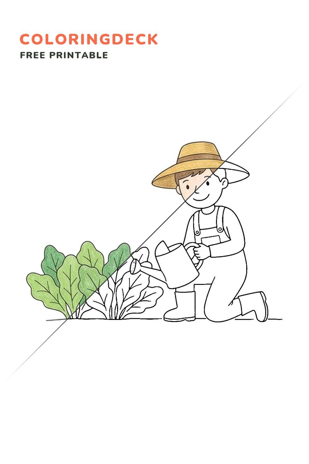 Farmer Watering Crops coloring page, free printable: half colored, half outline