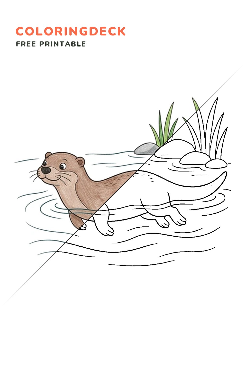 Otter River Swim coloring page, free printable: half colored, half outline