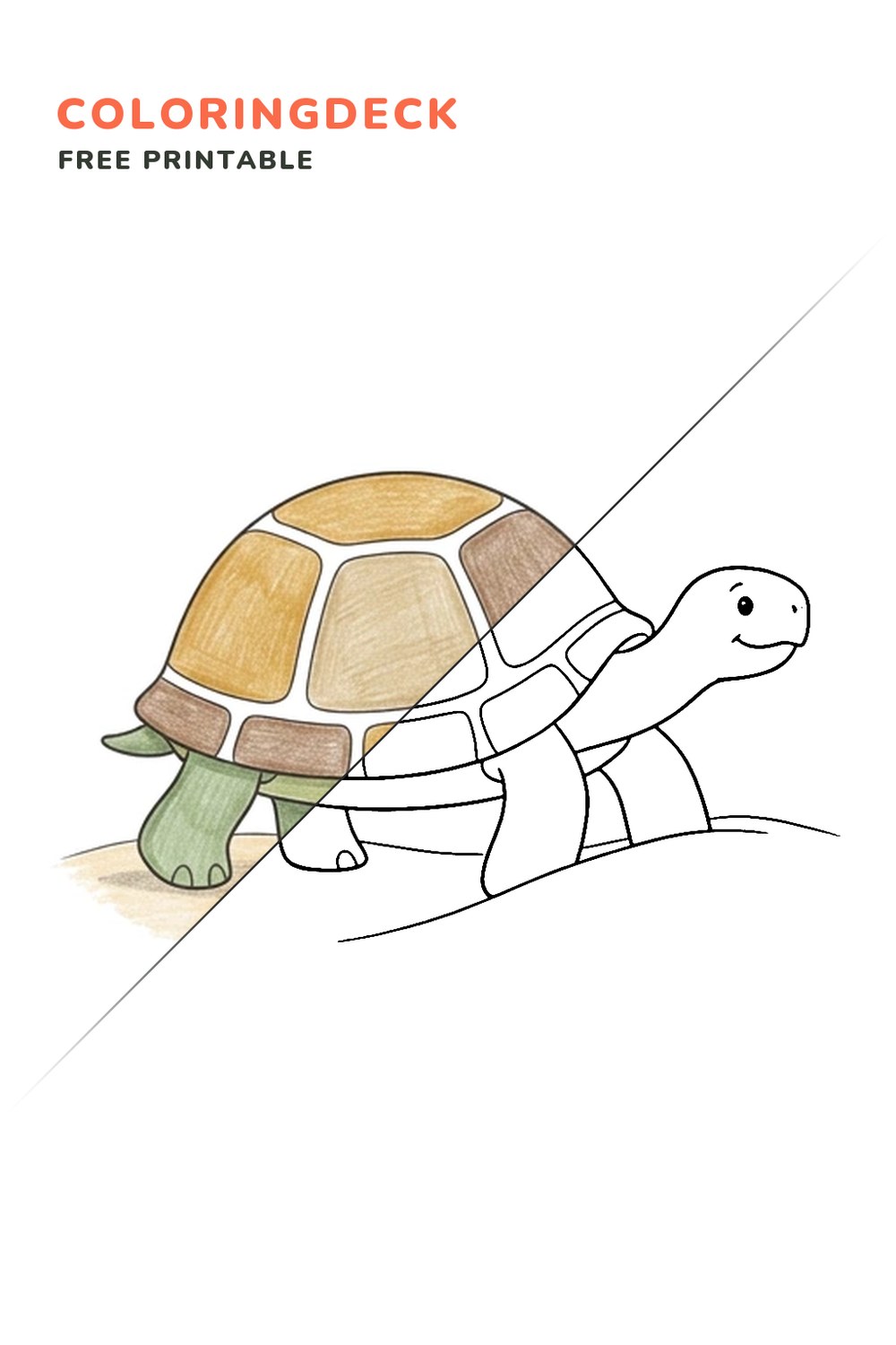 Tortoise Sand Crossing coloring page, free printable: half colored, half outline