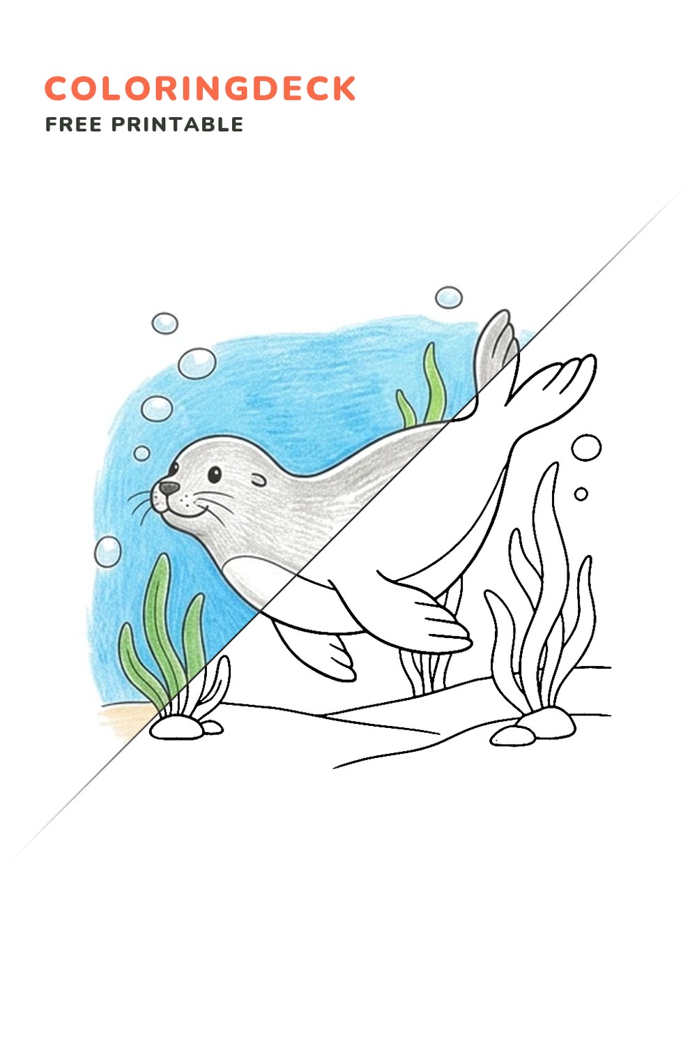 Seal Ocean Swim coloring page, free printable: half colored, half outline