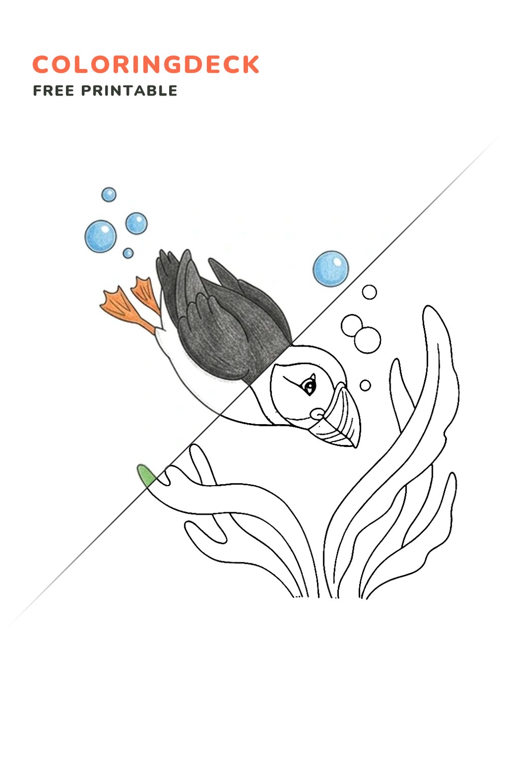 Puffin Ocean Dive coloring page, free printable: half colored, half outline