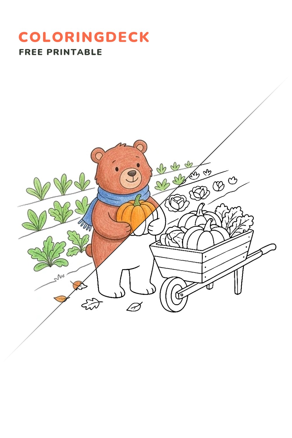 Bear Garden Wheelbarrow coloring page, free printable: half colored, half outline