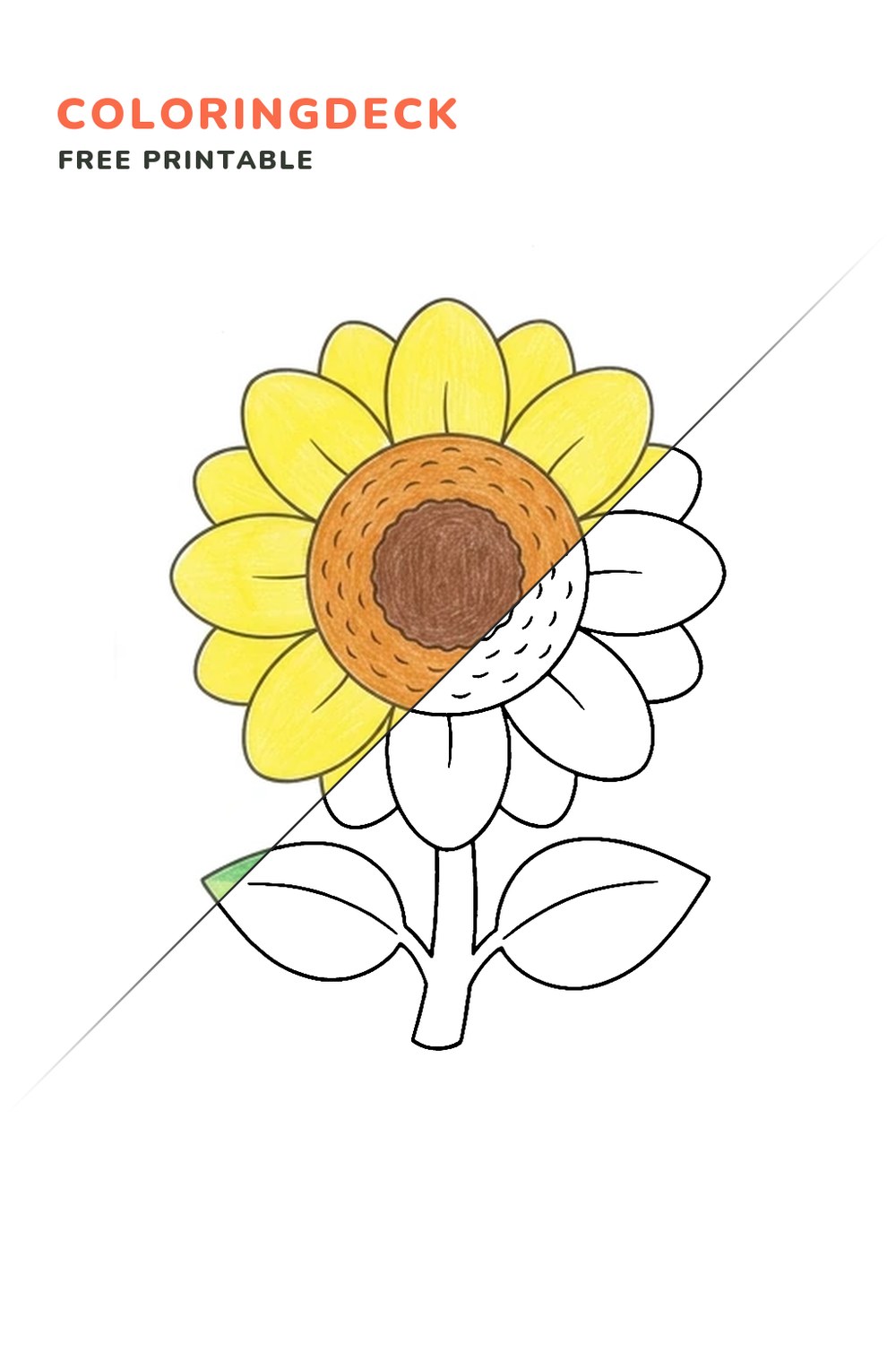 Sunny Sunflower coloring page, free printable: half colored, half outline