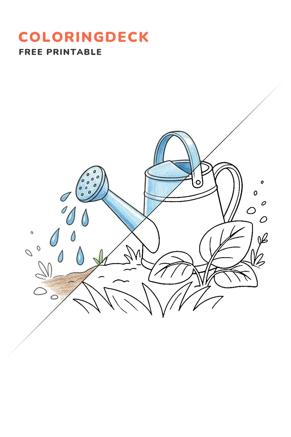Garden Watering Can coloring page, free printable: half colored, half outline
