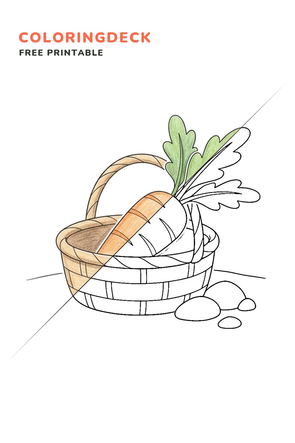 Carrot Garden Basket coloring page, free printable: half colored, half outline