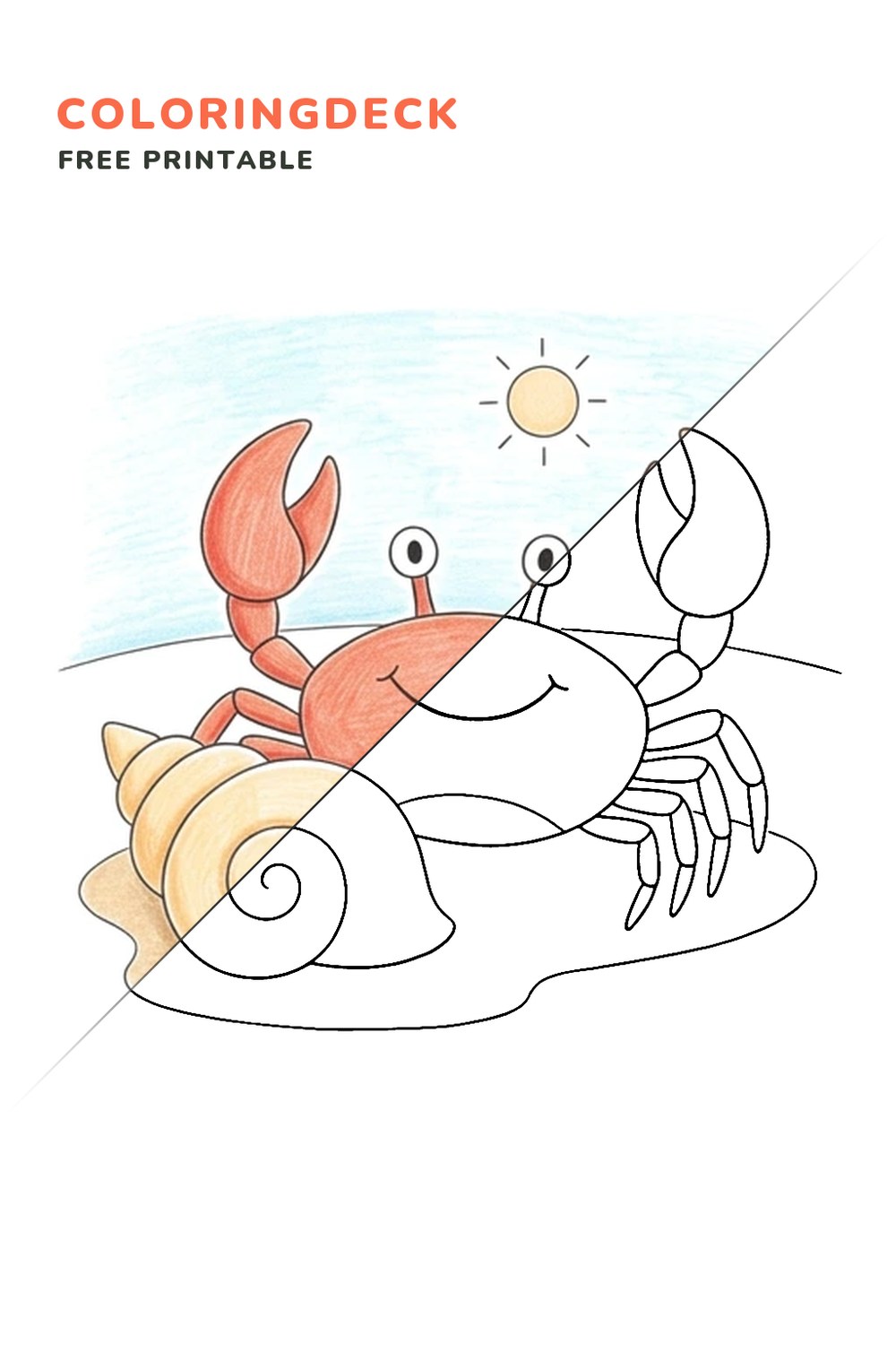 Crab Beach Shell coloring page, free printable: half colored, half outline